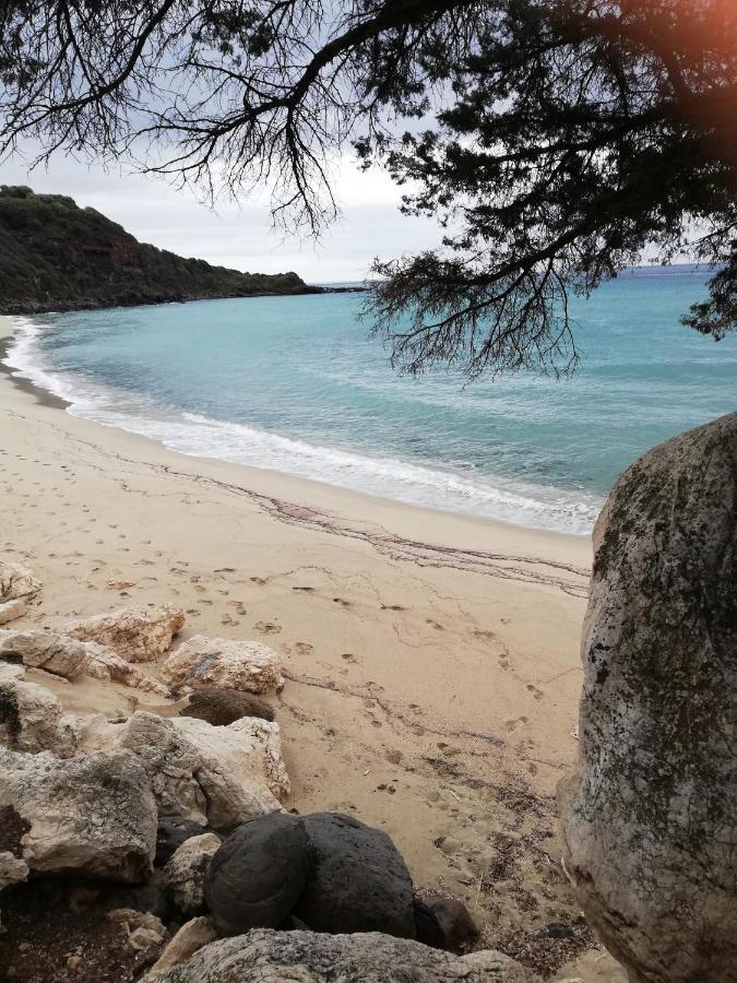 Appartamenti Le Conchiglie E Le Stelle Marine Cala Gonone Ngoại thất bức ảnh